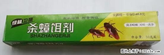 【紧急提醒】如果有“防疫站工作人员”上门灭杀蟑螂，请立刻报警 - 灌水专区 - 乌鲁木齐生活社区 - 乌鲁木齐28生活网 xj.28life.net