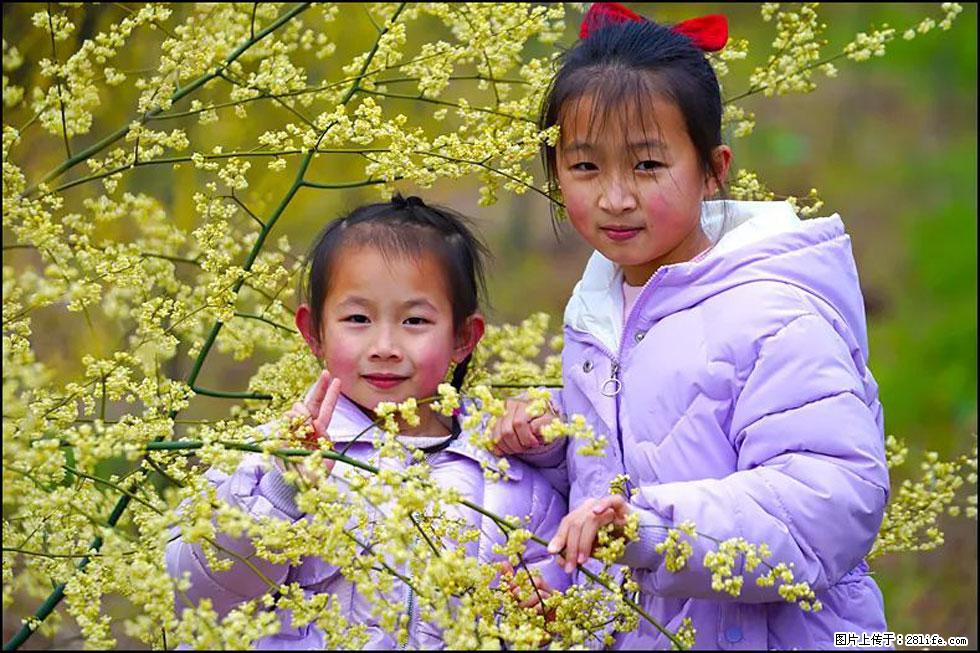 【春天,广西桂林灌阳县向您发出邀请!】米珠山前有片山苍子花在飘香 - 游山玩水 - 乌鲁木齐生活社区 - 乌鲁木齐28生活网 xj.28life.net