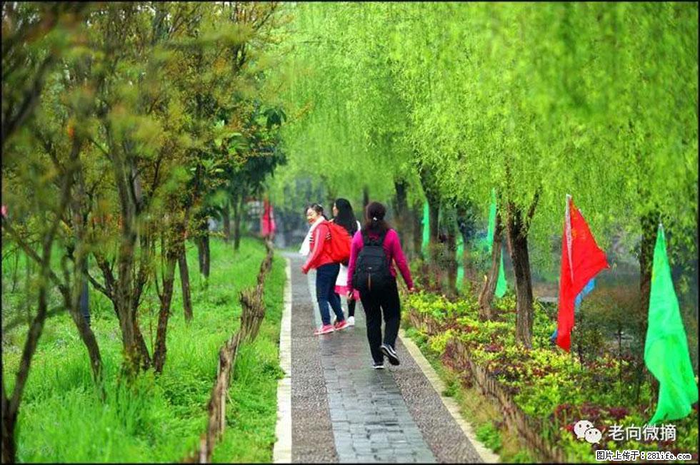 【春天，广西桂林灌阳县向您发出邀请！】江口老街又逢春 - 游山玩水 - 乌鲁木齐生活社区 - 乌鲁木齐28生活网 xj.28life.net