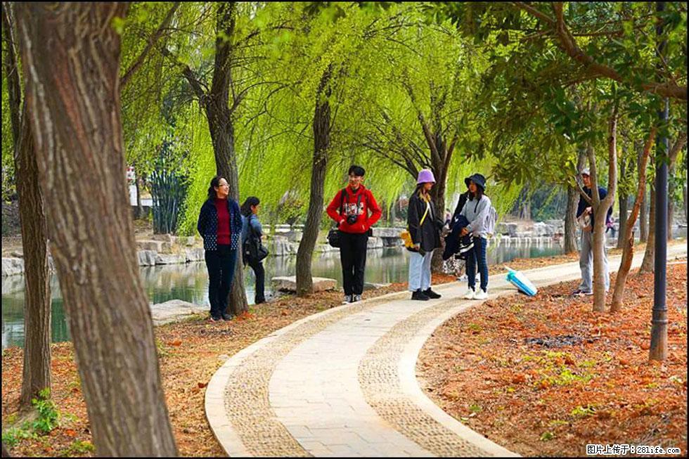 【春天，广西桂林灌阳县向您发出邀请！】江口老街又逢春 - 游山玩水 - 乌鲁木齐生活社区 - 乌鲁木齐28生活网 xj.28life.net