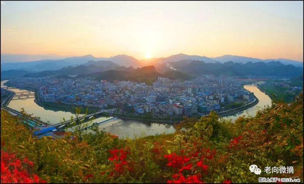 【春天，广西桂林灌阳县向您发出邀请！】登麒麟山，相约映山红 - 游山玩水 - 乌鲁木齐生活社区 - 乌鲁木齐28生活网 xj.28life.net