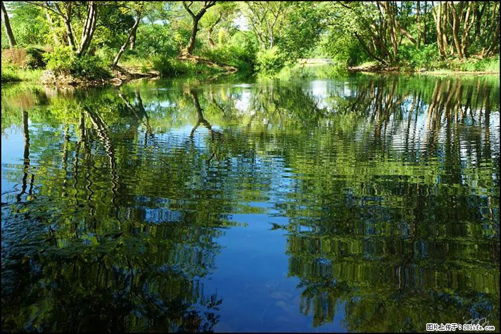 【春天，广西桂林灌阳县向您发出邀请！】熊家寨湿地公园 - 游山玩水 - 乌鲁木齐生活社区 - 乌鲁木齐28生活网 xj.28life.net
