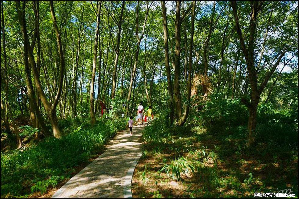 【春天，广西桂林灌阳县向您发出邀请！】熊家寨湿地公园 - 游山玩水 - 乌鲁木齐生活社区 - 乌鲁木齐28生活网 xj.28life.net