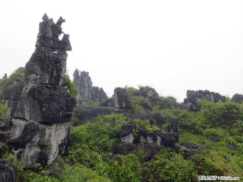 桂林旅游名城景点：灌阳文市石林 - 游山玩水 - 乌鲁木齐生活社区 - 乌鲁木齐28生活网 xj.28life.net