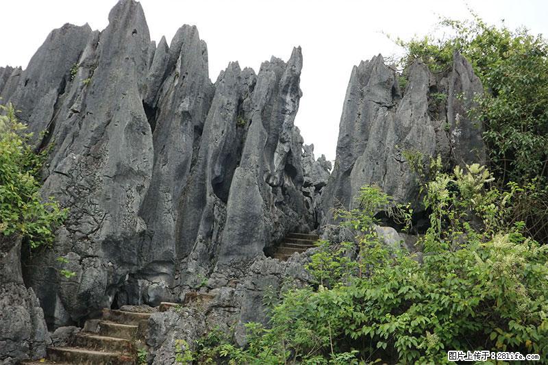 桂林旅游名城景点：灌阳文市石林 - 游山玩水 - 乌鲁木齐生活社区 - 乌鲁木齐28生活网 xj.28life.net