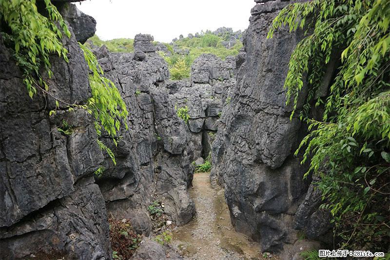 桂林旅游名城景点：灌阳文市石林 - 游山玩水 - 乌鲁木齐生活社区 - 乌鲁木齐28生活网 xj.28life.net