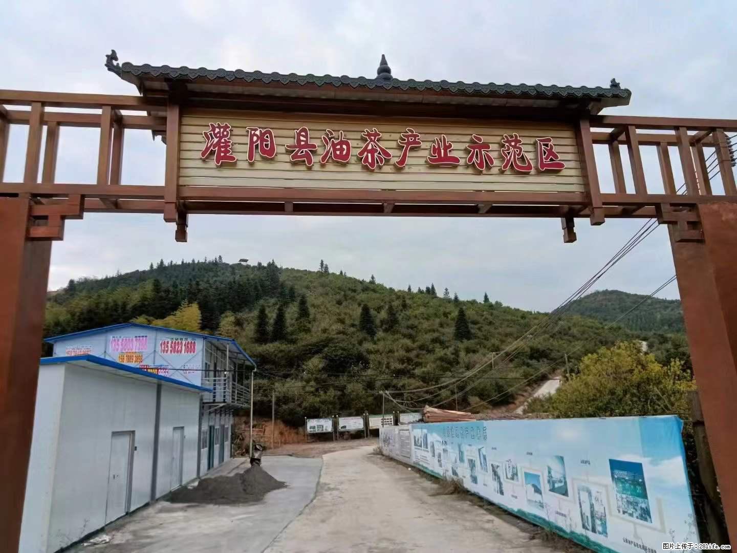【灌阳县油茶产业示范区】一个有着充实的精神生活的人,对待身外之物自会有一种淡泊的态度 - 土特产 - 饮食特产 - 乌鲁木齐分类信息 - 乌鲁木齐28生活网 xj.28life.net