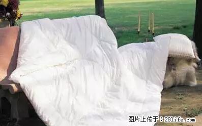 被子有异味？只要这样做，比晒太阳还强100倍！ - 家居生活 - 乌鲁木齐生活社区 - 乌鲁木齐28生活网 xj.28life.net