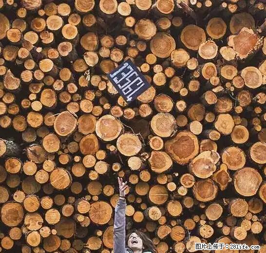 辞掉工作周游世界？现在他们在洗厕所…… - 游山玩水 - 乌鲁木齐生活社区 - 乌鲁木齐28生活网 xj.28life.net