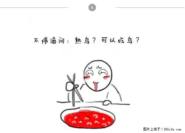 千万不要和这9种哈卵一起吃火锅！ - 美食天地 - 乌鲁木齐生活社区 - 乌鲁木齐28生活网 xj.28life.net