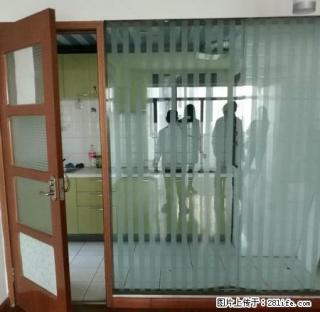 沙区 扬子江路天安名门3室 图片真实 落地窗有阳台 价格冰点 - 乌鲁木齐28生活网 xj.28life.net