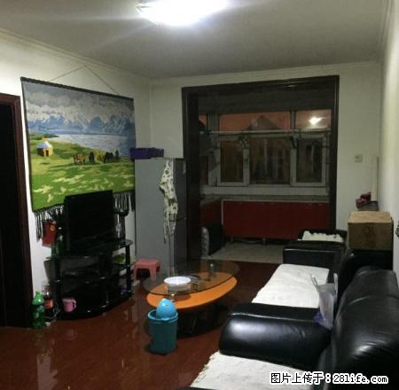 红拾月北一区45平7楼精装修1800元出租 - 房屋出租 - 房屋租售 - 乌鲁木齐分类信息 - 乌鲁木齐28生活网 xj.28life.net