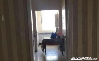 沙区友好三中旁金库肥牛楼上190平米精装四室培训教室急租 - 乌鲁木齐28生活网 xj.28life.net