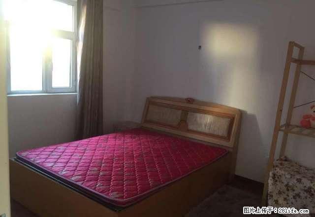 新洲城市花园 天津路 苏州路2室两厅 家电全 拎包住 - 房屋出租 - 房屋租售 - 乌鲁木齐分类信息 - 乌鲁木齐28生活网 xj.28life.net