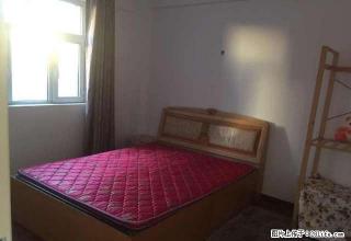 新洲城市花园 天津路 苏州路2室两厅 家电全 拎包住 - 乌鲁木齐28生活网 xj.28life.net