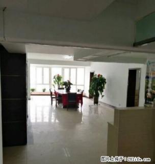 大西门公交车站旁双赢大厦320平简单装修可经营公适合办公培训 - 乌鲁木齐28生活网 xj.28life.net