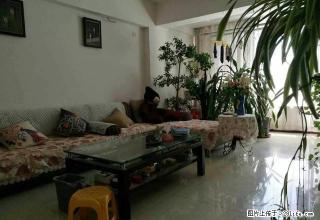 1400包暖气 短租半年 精装修拎包入住 逸仙小区小两室 - 乌鲁木齐28生活网 xj.28life.net
