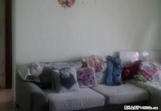 清水湾单身公寓1500出租包暖气物业 拎包入住 - 乌鲁木齐28生活网 xj.28life.net