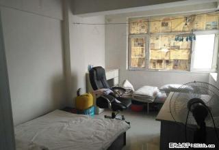 康城果岭 3室1厅1卫 精品房出租 先到先得！好房不等人 - 乌鲁木齐28生活网 xj.28life.net