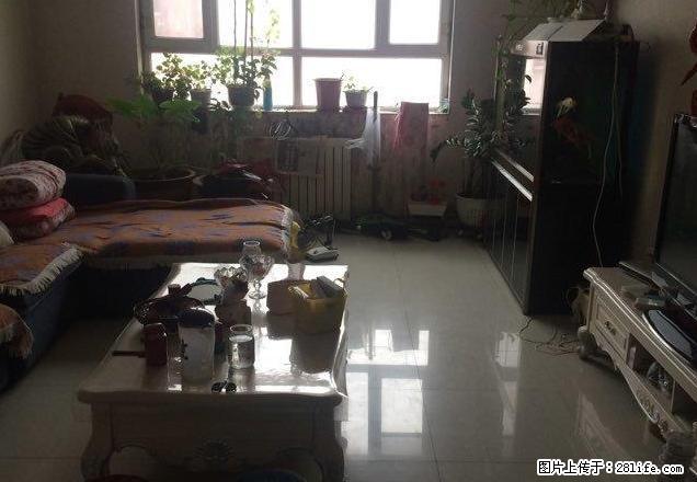 喀什东路 师大旁 金鑫花园 2室 精装 可拎包入住 - 房屋出租 - 房屋租售 - 乌鲁木齐分类信息 - 乌鲁木齐28生活网 xj.28life.net