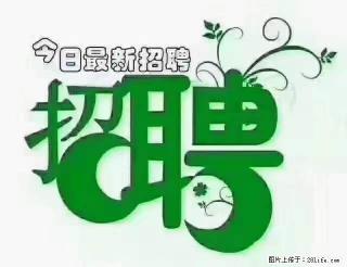 【招聘摄像师】待遇：试用期6000元/月，转正7000元/月+五险一金+餐补+节日福利+奖金 - 乌鲁木齐28生活网 xj.28life.net