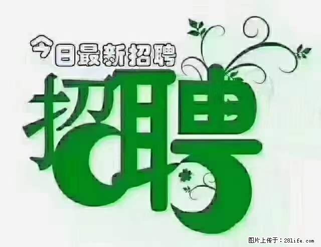 上海青浦区招仓管 - 职场交流 - 乌鲁木齐生活社区 - 乌鲁木齐28生活网 xj.28life.net