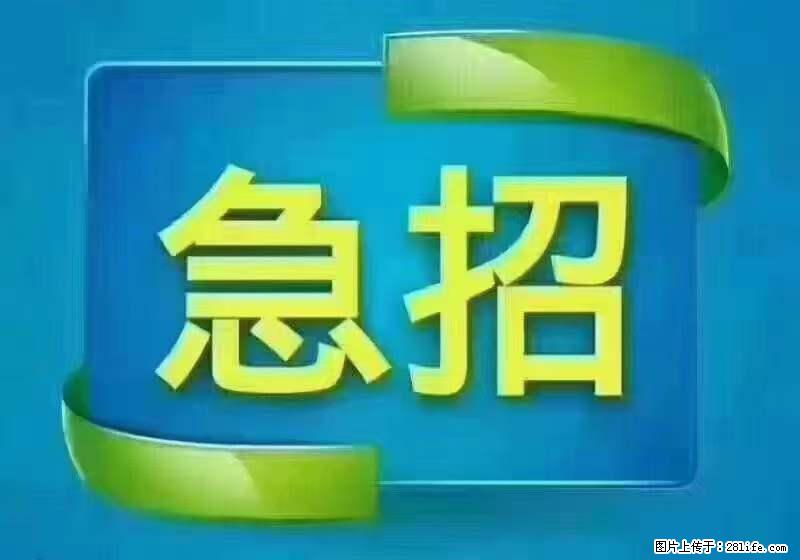 招出纳8000元/月，无证可以，要有相关经验，上海五险一金，包住，包工作餐，做六休一。 - 职场交流 - 乌鲁木齐生活社区 - 乌鲁木齐28生活网 xj.28life.net