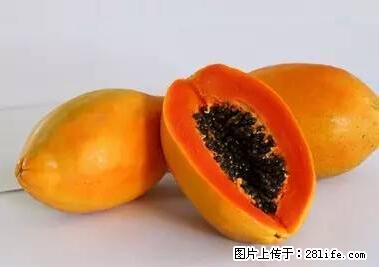 晕车、脚气、牙齿变黄、皮肤粗糙?学会这些三分钟搞定! - 乌鲁木齐生活资讯 - 乌鲁木齐28生活网 xj.28life.net
