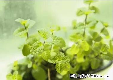 晕车、脚气、牙齿变黄、皮肤粗糙?学会这些三分钟搞定! - 乌鲁木齐生活资讯 - 乌鲁木齐28生活网 xj.28life.net