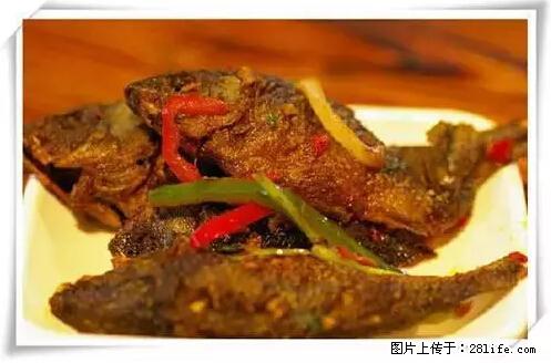 来广西旅游必吃这20道桂菜，不然就白来广西啦！ - 乌鲁木齐生活资讯 - 乌鲁木齐28生活网 xj.28life.net