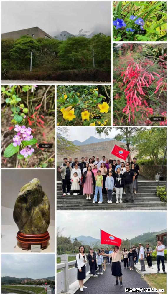 “粤灌文化 美好生活”油茶文化主题活动在广东深圳成功举办 - 乌鲁木齐生活资讯 - 乌鲁木齐28生活网 xj.28life.net