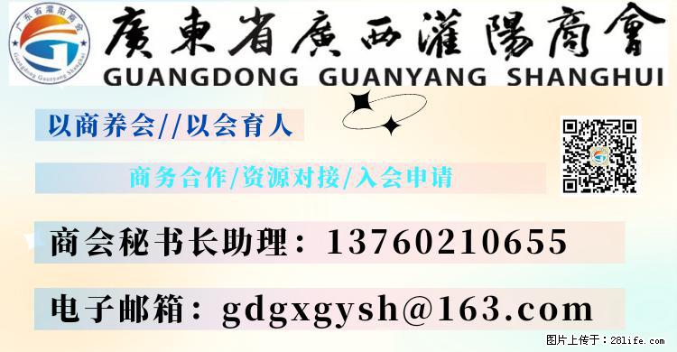 “粤灌文化 美好生活”油茶文化主题活动在广东深圳成功举办 - 乌鲁木齐生活资讯 - 乌鲁木齐28生活网 xj.28life.net