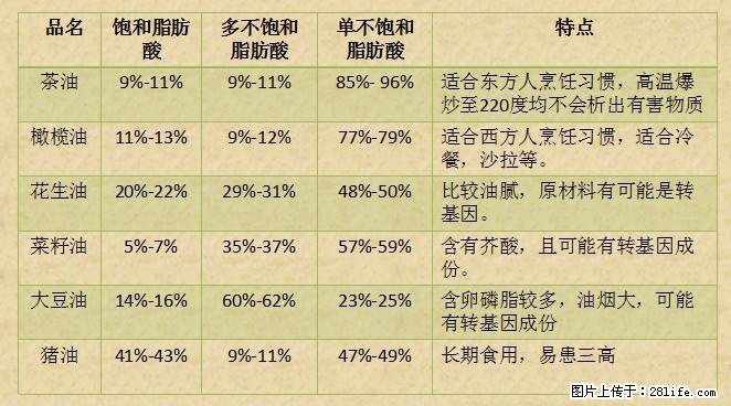 揭秘茶油的5大核心营养成分！被称为人体健康的“守护盾”！ - 乌鲁木齐生活资讯 - 乌鲁木齐28生活网 xj.28life.net