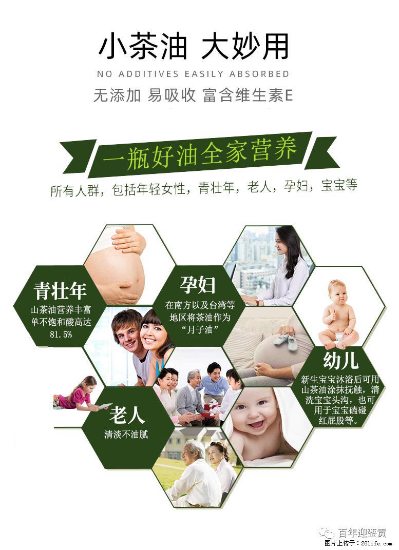 世界没有真相，只有认知，最好的食用油是中国的山茶油！ - 乌鲁木齐生活资讯 - 乌鲁木齐28生活网 xj.28life.net