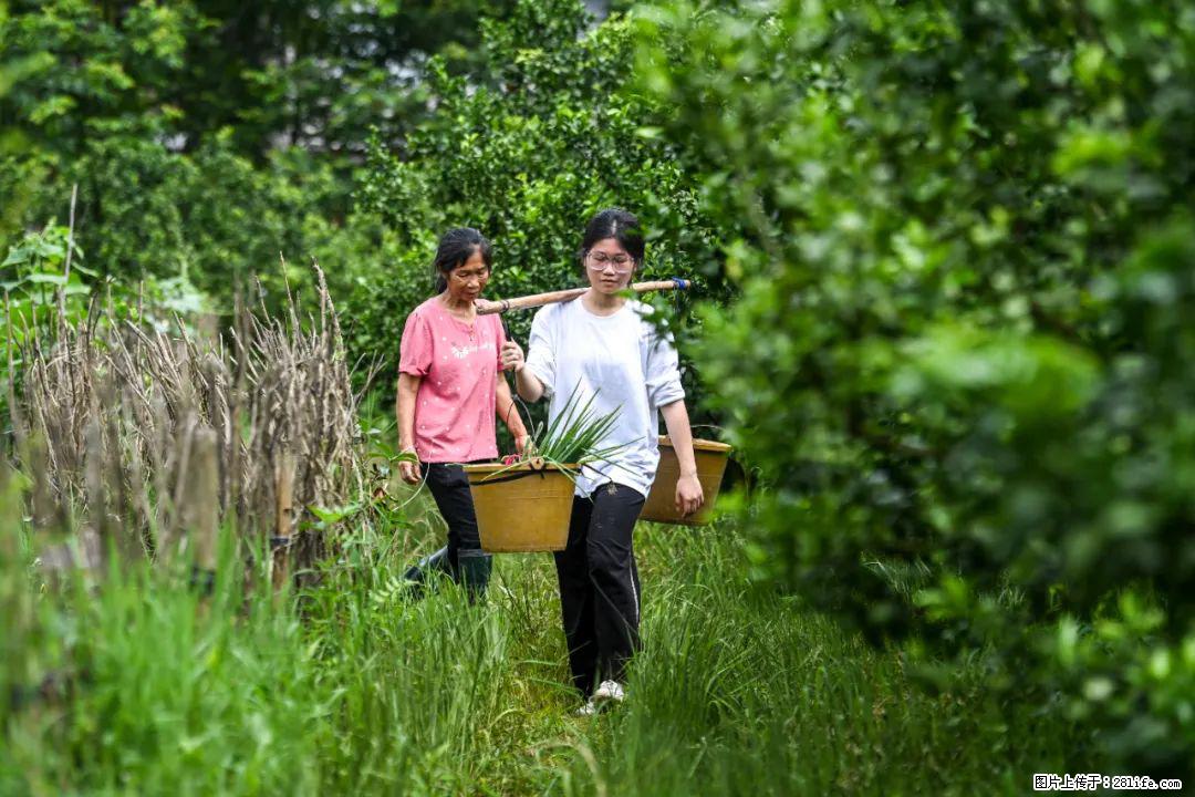 全网追的“扁担女孩”，找了一份暑假工，时薪12元 - 乌鲁木齐生活资讯 - 乌鲁木齐28生活网 xj.28life.net