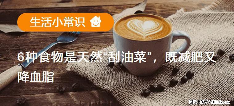 【生活小常识】6种食物是天然“刮油菜”，既减肥又降血脂 - 乌鲁木齐生活资讯 - 乌鲁木齐28生活网 xj.28life.net