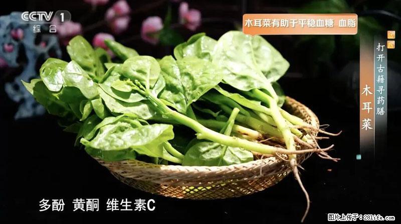 比牛奶补钙还厉害！凉血解毒、稳血糖...这菜冬天必吃，很多人却当草 - 乌鲁木齐生活资讯 - 乌鲁木齐28生活网 xj.28life.net