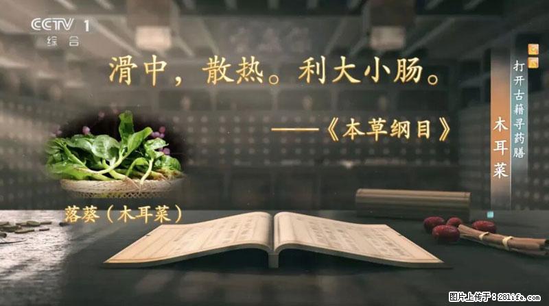 比牛奶补钙还厉害！凉血解毒、稳血糖...这菜冬天必吃，很多人却当草 - 乌鲁木齐生活资讯 - 乌鲁木齐28生活网 xj.28life.net