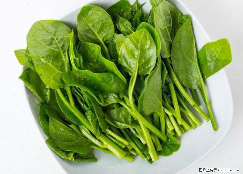这些蔬菜是“天然钙片”，这6种被医生重点推荐 - 乌鲁木齐生活资讯 - 乌鲁木齐28生活网 xj.28life.net