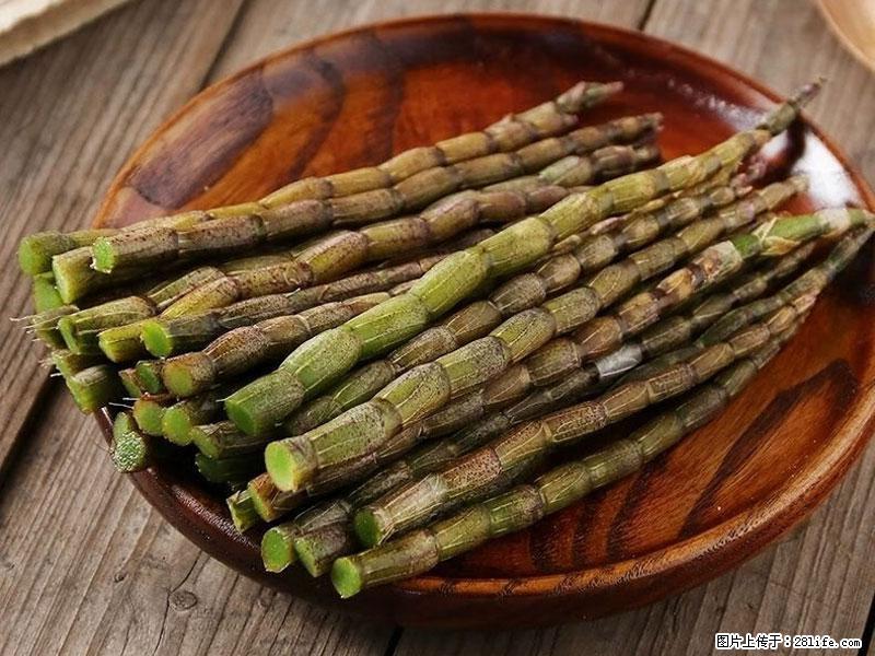 铁皮石斛的作用与功能主治 - 乌鲁木齐生活资讯 - 乌鲁木齐28生活网 xj.28life.net