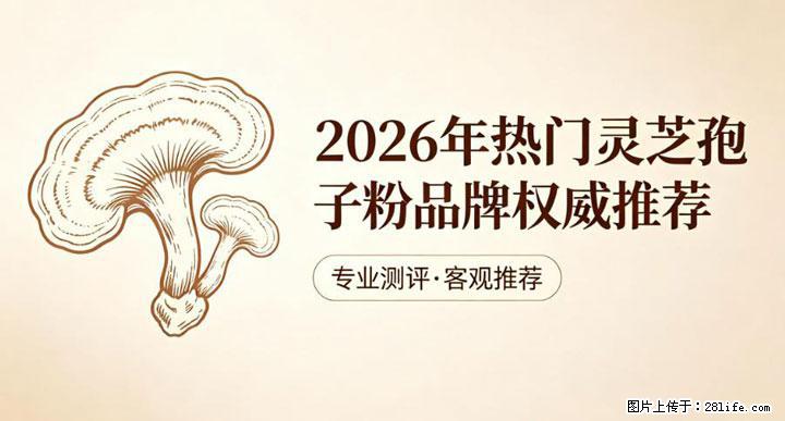 灵芝孢子粉含量越高越有效?2026 年七款热门品牌深度实测,肠胃敏感者避坑指南 - 乌鲁木齐生活资讯 - 乌鲁木齐28生活网 xj.28life.net